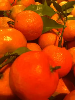 552-biocoop-salagou-magasin-bio-orange-fruit-local-saison.webp