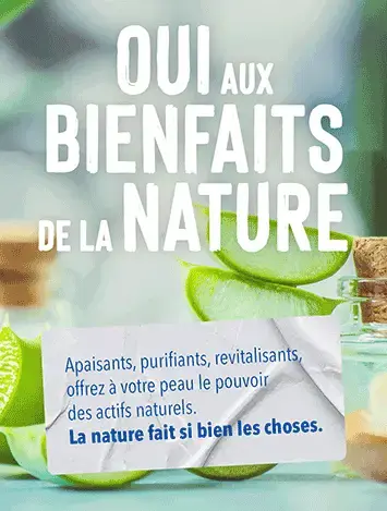 Plantes et détente Plantes et détente